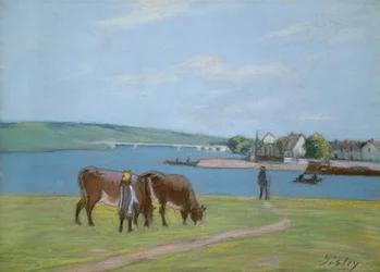 Kühe am Ufer der Seine bei Saint-Mammes